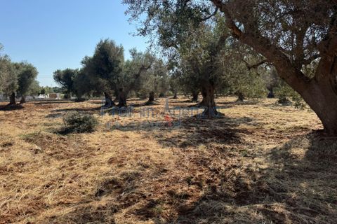 Farm hus i Ostuni, Brindisi, Ostuni - € 58.000 | Ref: 172934 - foto 6